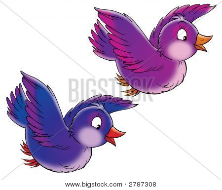 Uccelli