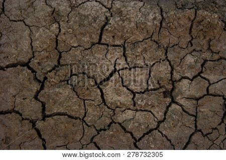 Dry Cracked Waterless Mud Texture In Hot Summer