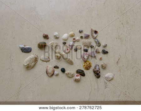 Food And Drink Still Life High Angle View Indoors No People Table Freshness Beach Large Group Of Obj