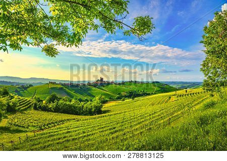 Langhe Vineyards Sunset Panorama, Serralunga D Alba, Unesco Site, Piedmont, Northern Italy Europe.