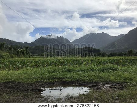Hanalei Mountains After A Rainy Day In Kauai