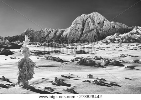 Bucura II Peak, 2372m. Winter alpine landscape in National Park Retezat, Carpathians, Romania, Europe. Snow covered moutains scenery