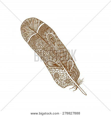 Decorative Brown Line Feather In Zentangle Style