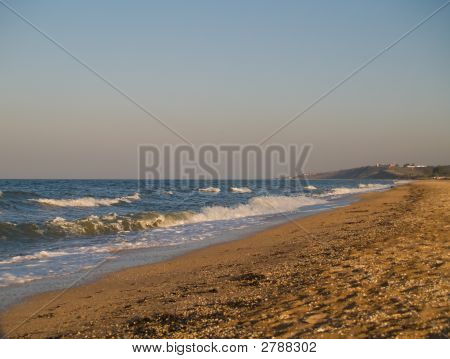 Tom Seabeach