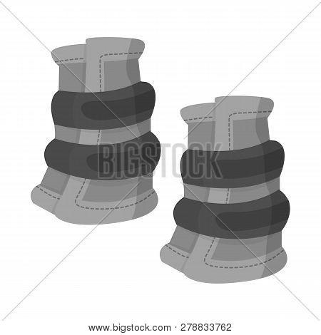 Vector Illustration Of Race  And Horse  Icon. Set Of Race  And Racing  Stock Vector Illustration.
