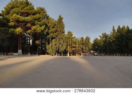 Walkway In Garden. Side View Of Asphalt Road, Street In Suburban Residential Area With Lot Of Green 