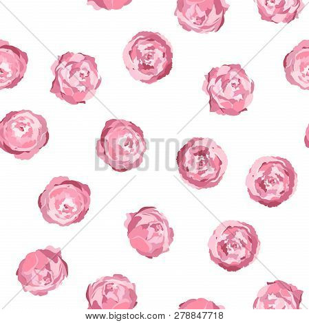Vector Seamless Pattern With Pink Peony Flowers On White Background. Romantic Design For Natural Cos