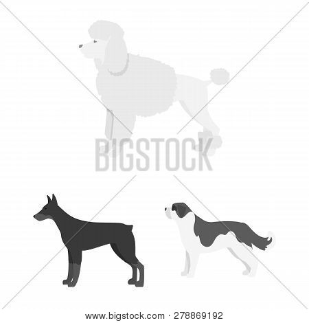 Vector Design Of Cute And Puppy Icon. Set Of Cute And Animal Stock Symbol For Web.