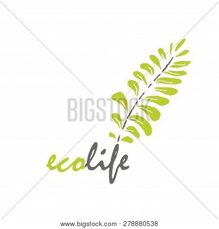 Logo Ecolife With Green Leave.  Isolated Background. Vector Illustration.