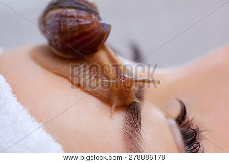 Cosmetological Procedure. Beautiful Young Woman With A Snail Ahatin On Her Face In A Beauty Salon.
