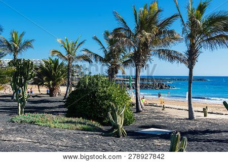 Golden Sand Beach In Las Cucharas, Lanzarote, Canary Islands. View Of The Sea, Coast, Palm Trees, Se