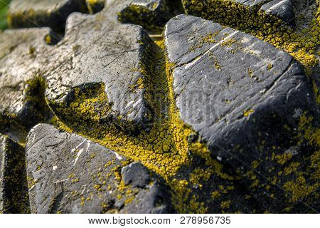 An Old Abandoned Car Tire Overgrown With Yellow Moss.