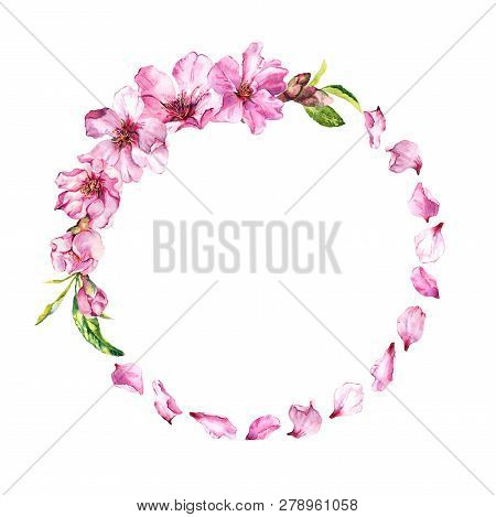 Pink Cherry Petals, Sakura Blossom, Spring Cherry Flowers. Floral Wreath. Watercolor Round Border