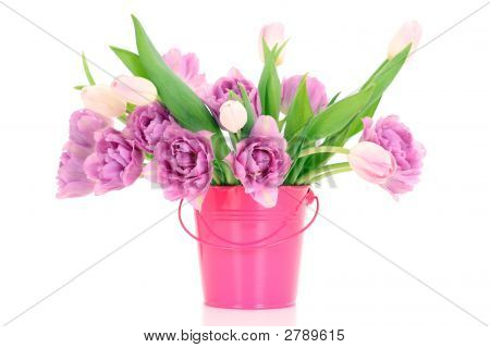 Temps de printemps !