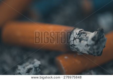 Macro Photo Of The Cigarette Butts Background. Royalty High-quality Stock Closeup Photo Image Of Dir