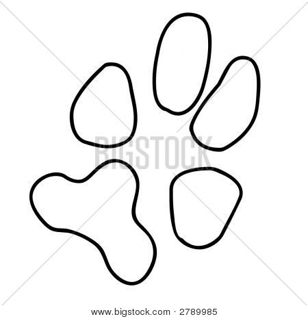 Paw Print Outline Image &amp; Photo (Free Trial) | Bigstock