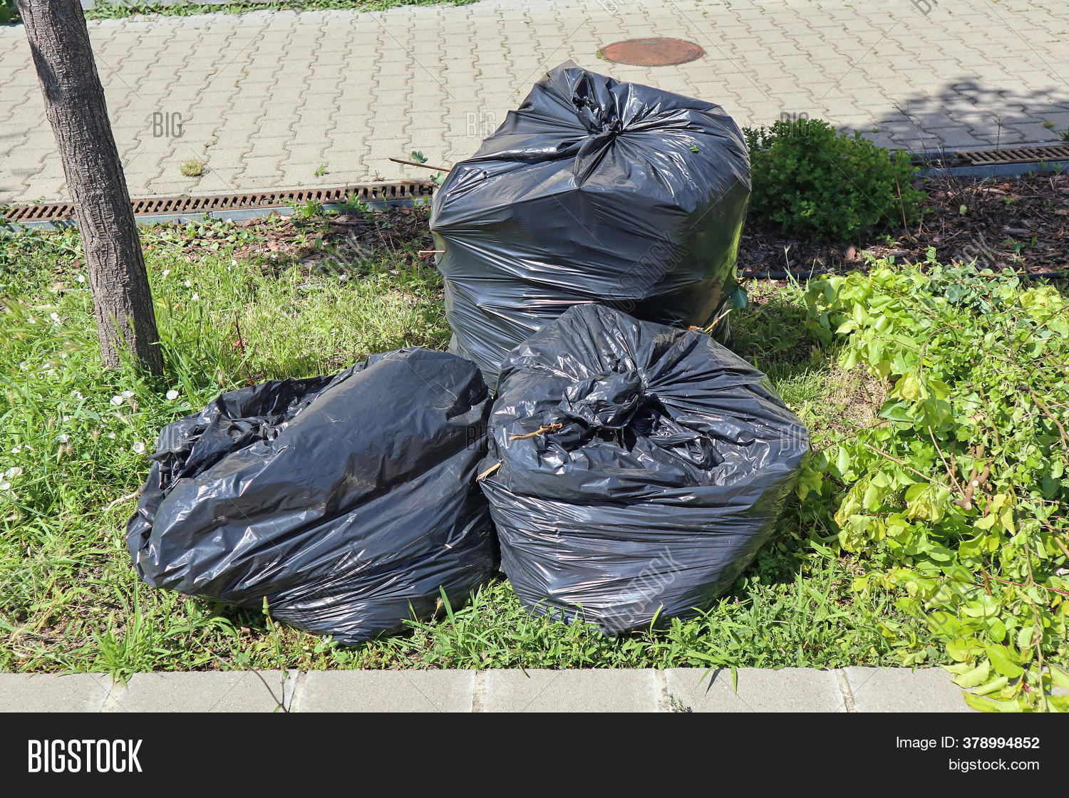 Green Trash Bags Image & Photo (Free Trial) Bigstock