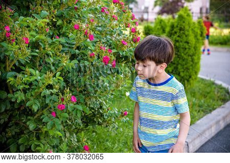 Little Boy Has Allergy To Blooming Flowers Playing Outdoor. Healthcare Concept