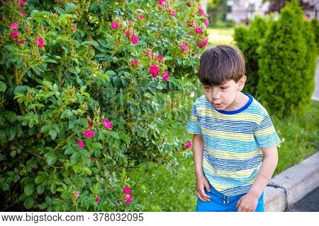 Little Boy Has Allergy To Blooming Flowers Playing Outdoor. Healthcare Concept