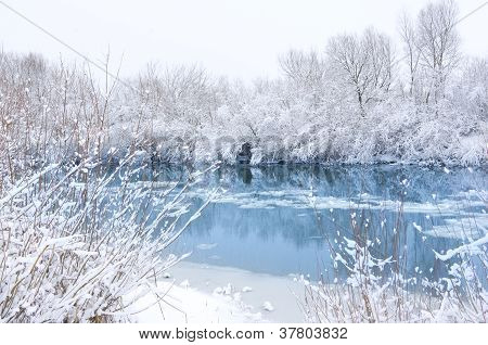 Paisaje de invierno