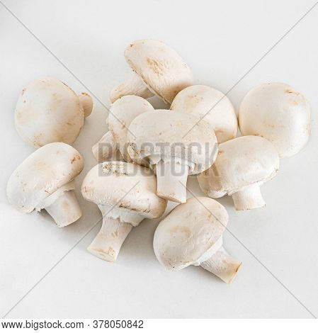 White Champignon Mushrooms Is A Small Edible Mushroom With A Light Brown Lid That Grows In Short Gra