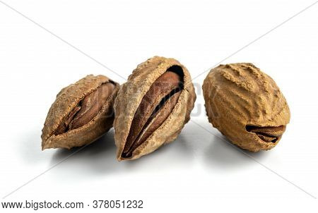 Inshell Almonds Isolated On A White Background. Selected Dried Inshell Almonds.