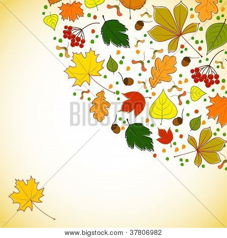 Herbst Hintergrund für Nachrichten mit Blättern