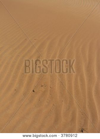 Dune2
