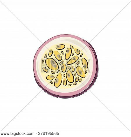 Vector Set Of Passion Fruit, Passionfruit, Maracuya Purple Colors. Cut Pieces On A White Background.