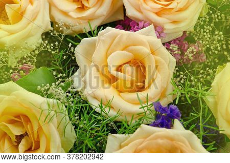 Colorful Roses Flower Bouquet. Bouquet Of Yellow Roses