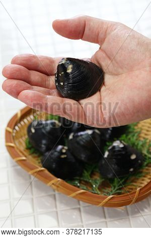 big size japanese basket clams on hand, food ingrediets