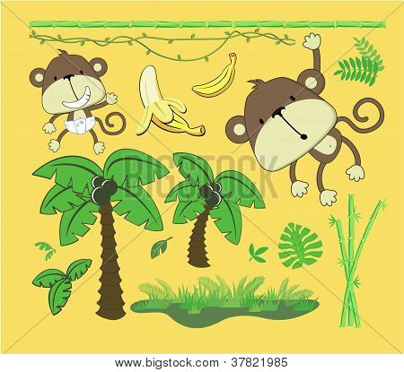 Vector de elementos de diseño de Safari