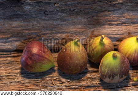Fresh Fig Fruits (ficus Carica L.) With Peel On A Piece Of Aged Wood