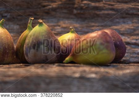 Fresh Figs. Although Known As Fruit, It Is, In Fact, An Infrutescence, That Is, A Set Called Siconiu