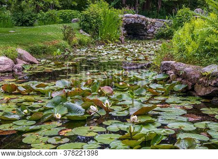 Beautiful View Of The Lily Pond In Historic Blithewold Mansion, Gardens & Arboretum, Bristol, Rhode 