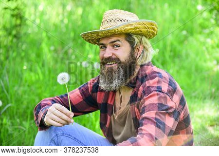 Make Wish. Peaceful Man In Straw Summer Hat. Bearded Man Blowing Dandelion Seeds In Park. Mental Hea