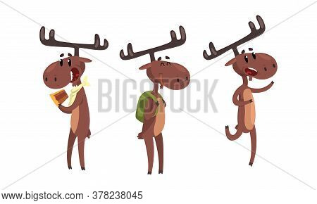 Set Of Funny Brown Moose In Various Poses Set, Cute Wild Humanied Forest Animal Cartoon Character Ca