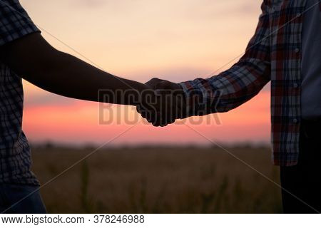 Farmer And Agronomist Silhouettes Shaking Hands Standing In A Wheat Field After Agreement In Dusk. A
