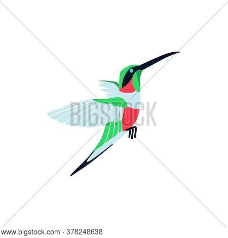 Flying Bright Tropical Hummingbird. Beautiful Bird With Colored Feathers And Wings. Tropical Nature 