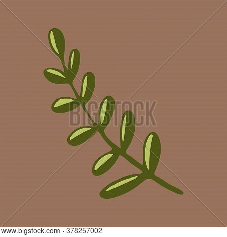 Vector Doodle Illustration Of Potherbs. Hand Drawn Healthy Farm Vegetable Isolated On White Backgrou