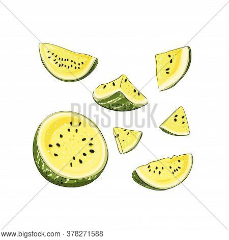 Slice And Whole Striped Yellow Watermelon Set With Black Seeds, Sketch Style, Vector Illustration Is