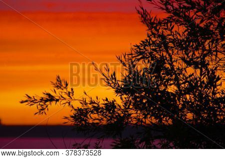Sunset Over The Lake And Tree Branches On The Foreground