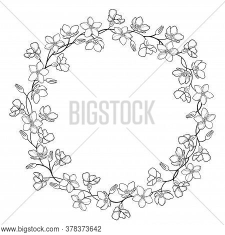 Vector Round Wreath With Outline Forget Me Not Or Myosotis Flower Bunch, Stem And Bud In Black Isola