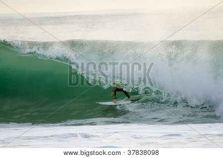 Taylor Knox