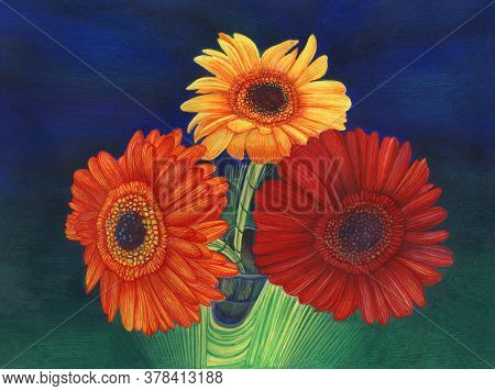 Closeup 3 Yellow Orange Red Gerbera Flowers On A Bright Blue-green Background.