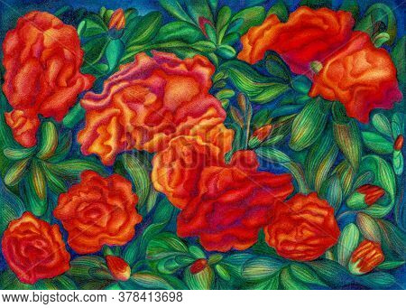 Illustration Picture Of Big Red Azalea (rhododendron) Bush In Bloom With Green Leaves In The Garden.
