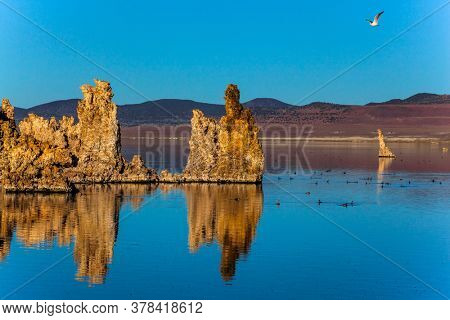 Picturesque Mono lake. Birds on the lake. The columns-remains of 