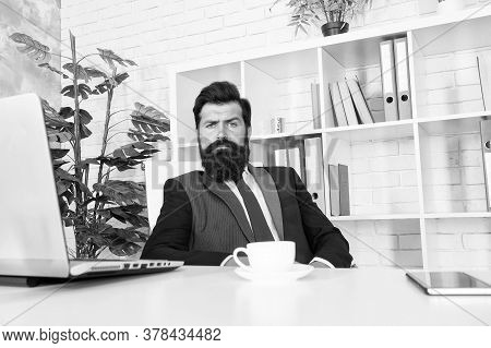 Respectable Ceo. Man Handsome Boss Sit In Office Drinking Coffee. Comfy Workspace. Bearded Hipster F