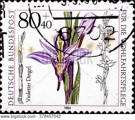 02 09 2020 Divnoe Stavropol Territory Russia The Postage Stamp Germany 1984 Orchids Limodorum Aborti