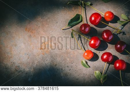 Ripe Cherries With Dew Drops On A Dark Background In The Rays Of Morning Light. Cottagecore Aestheti